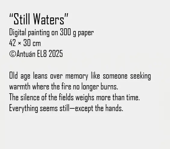 Artwork text and details