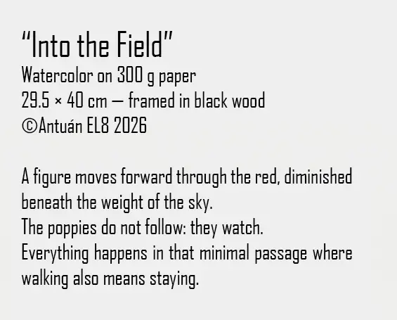 Artwork text and details