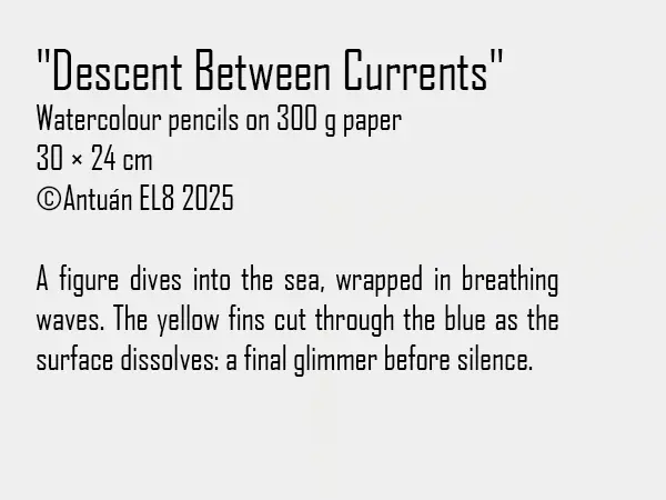 Artwork text and details