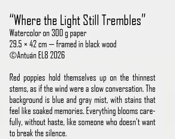 Artwork text and details