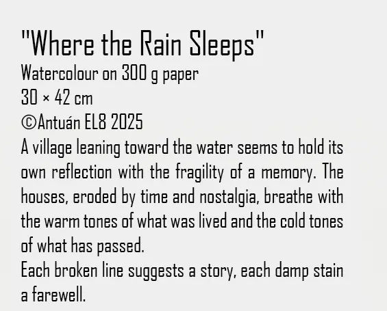 Artwork text and details