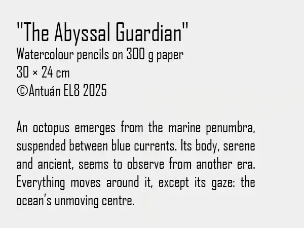 Artwork text and details