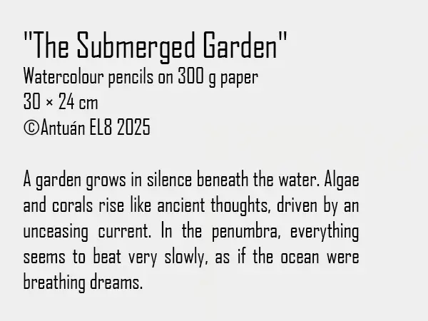Artwork text and details