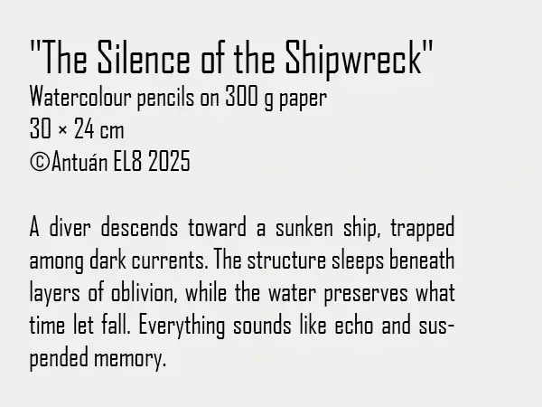 Artwork text and details