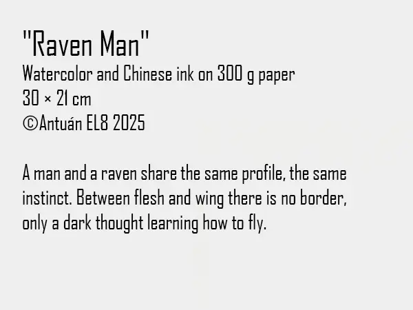 Artwork text and details