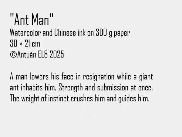 Artwork text and details