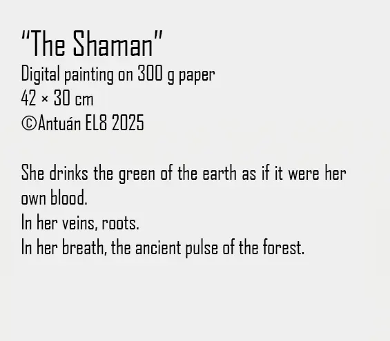 Artwork text and details