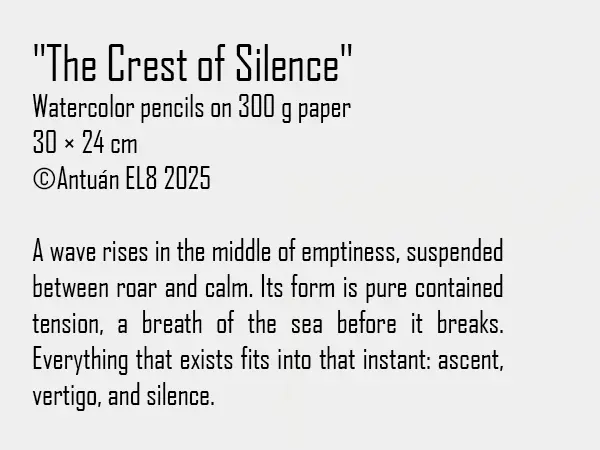 Artwork text and details