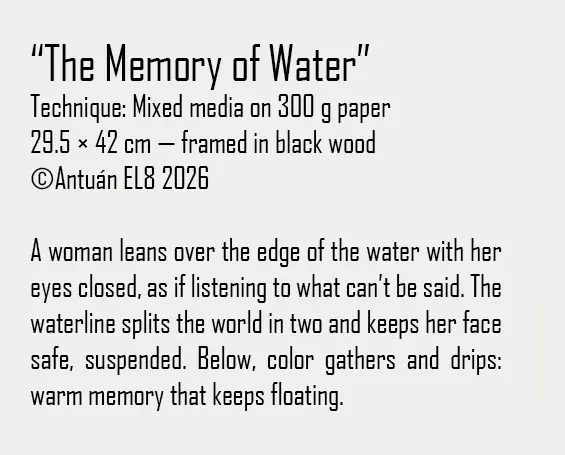 Artwork text and details