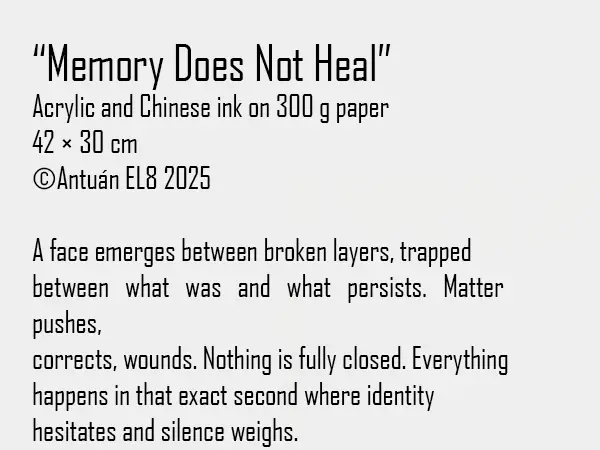 Artwork text and details