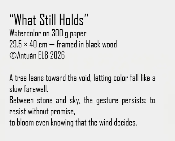 Artwork text and details