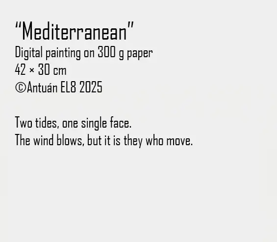Artwork text and details