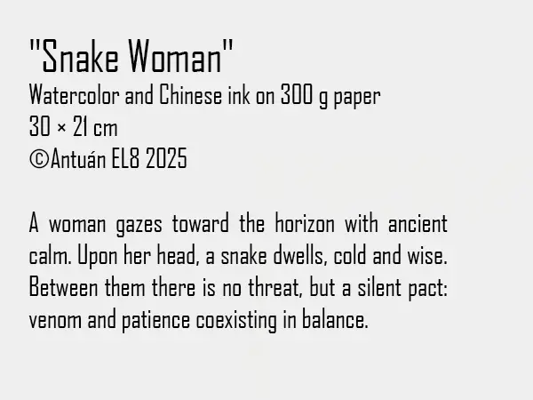 Artwork text and details