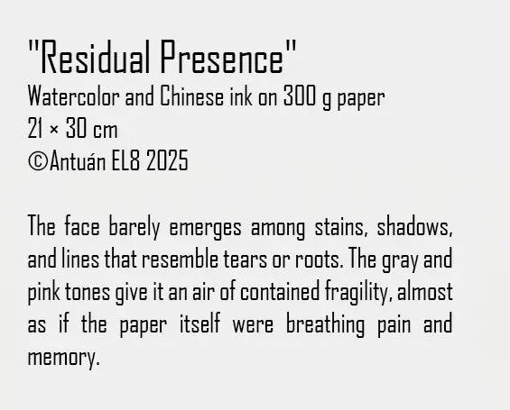 Artwork text and details