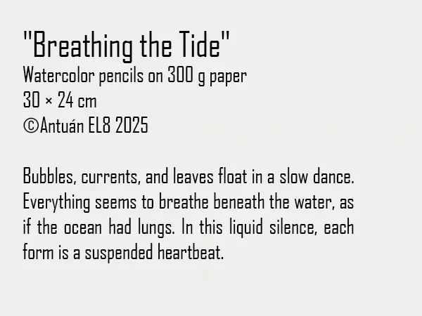 Artwork text and details