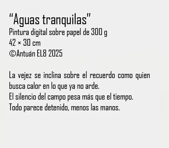 Ficha y texto de la obra