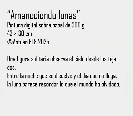 Ficha y texto de la obra
