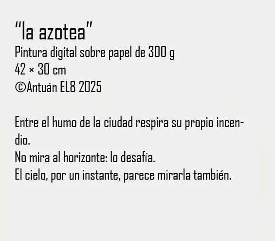 Ficha y texto de la obra
