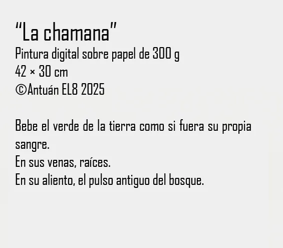 Ficha y texto de la obra