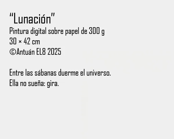 Ficha y texto de la obra