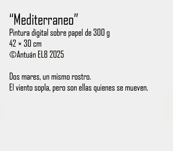Ficha y texto de la obra