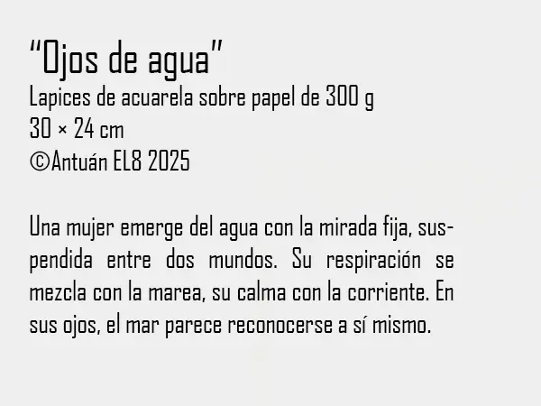 Ficha y texto de la obra