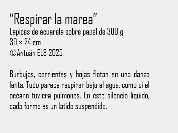 Ficha y texto de la obra