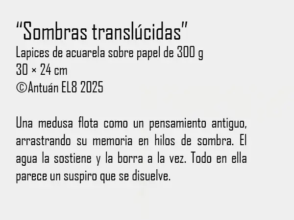 Ficha y texto de la obra