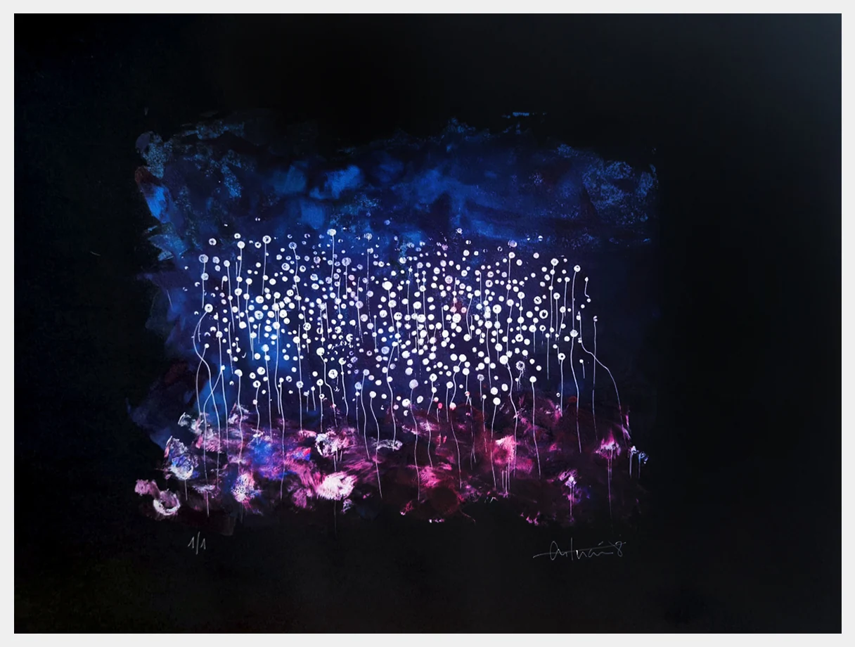 Seeds of Light, What Remains of the Noise